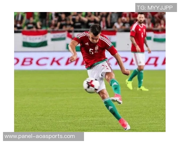 2017斯坦科维奇杯德国队与克罗地亚队精彩对决回顾与分析